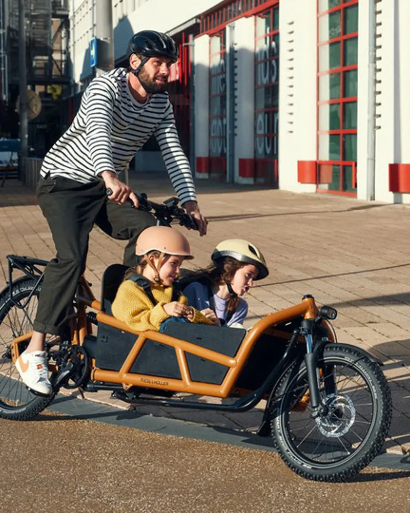 Riese and Muller Load4 75 Rohloff HS Peanut-2