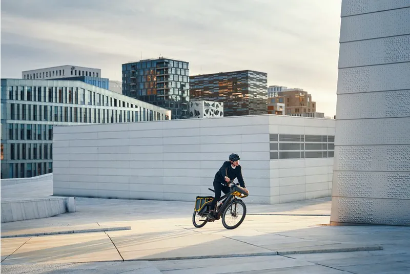 Riese and Müller Multicharger from:-2