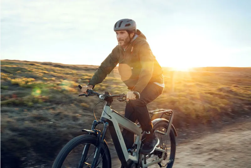 Riese and Muller Superdelite from:-2