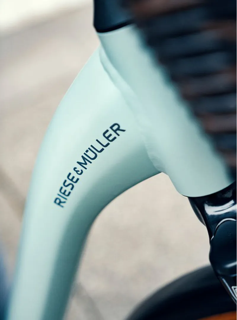 Riese and Müller Swing from:-4