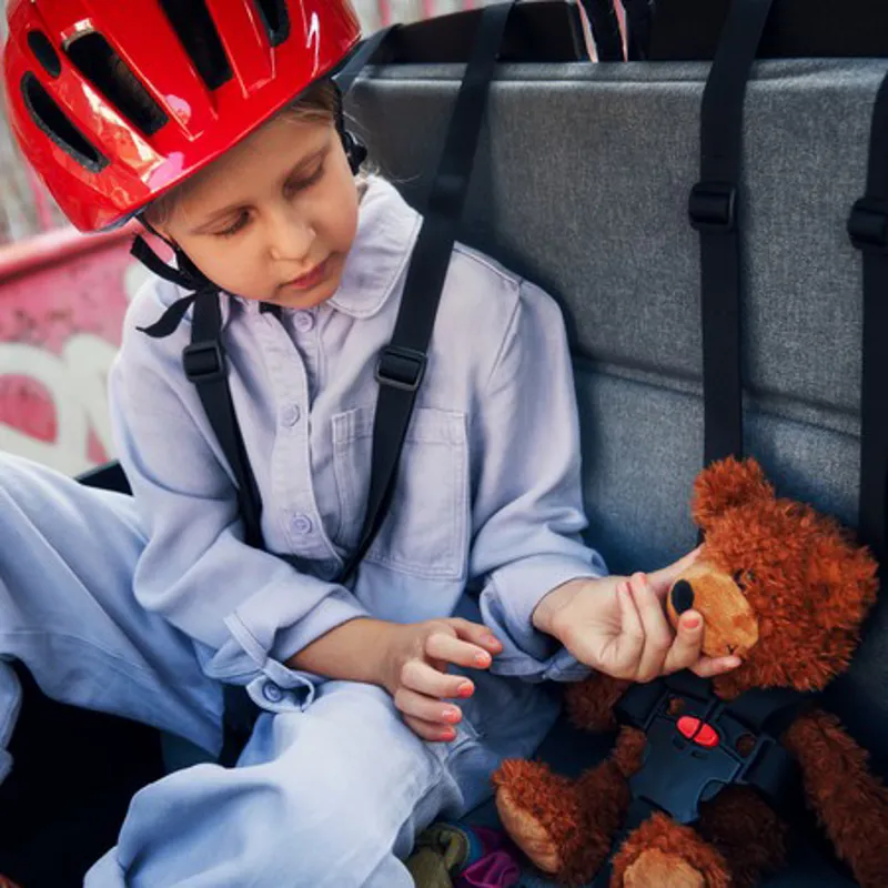 Riese and Müller Transporter 2 65 from:-3