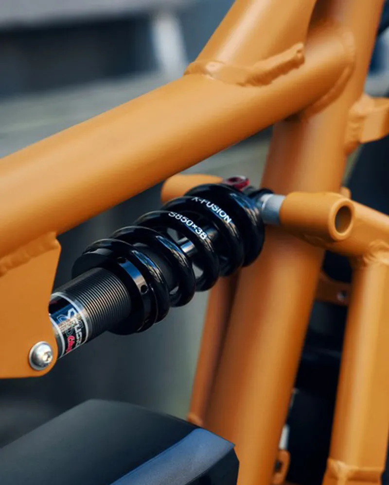 Riese and Muller Load4 75 Rohloff HS Peanut-3