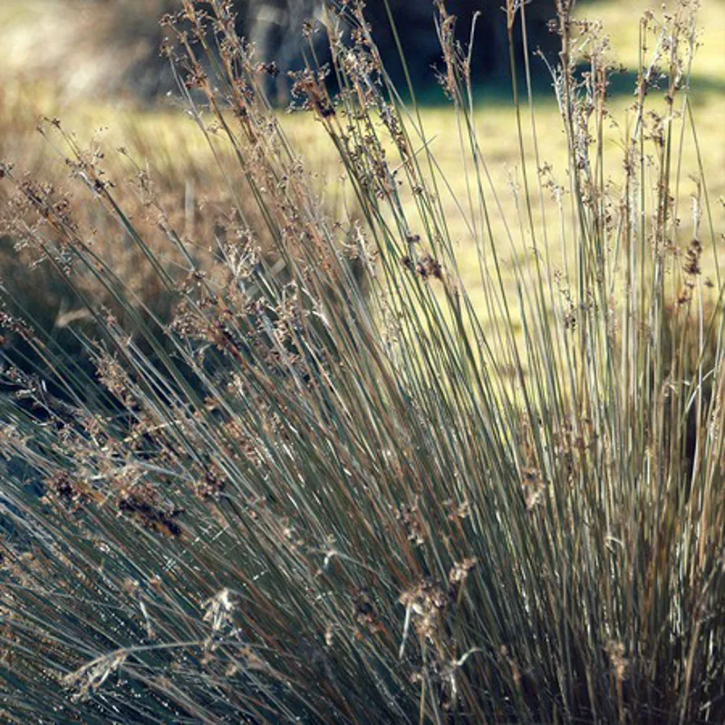 Riese and Muller Superdelite from:-4