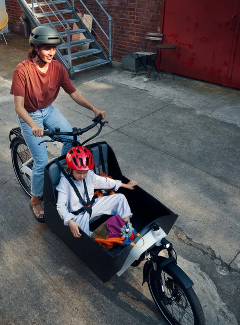 Riese and Müller Transporter 2 65 from:-4