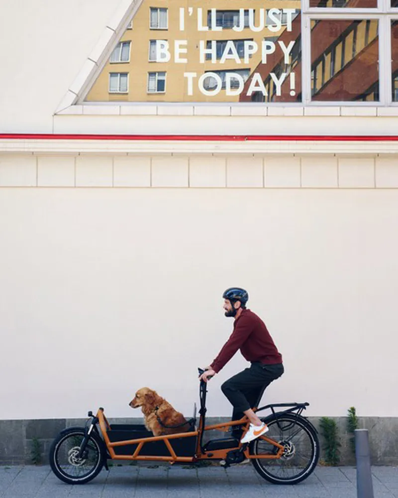 Riese and Muller Load4 75 Rohloff HS Peanut-1