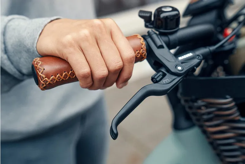 Riese and Müller Swing from:-6