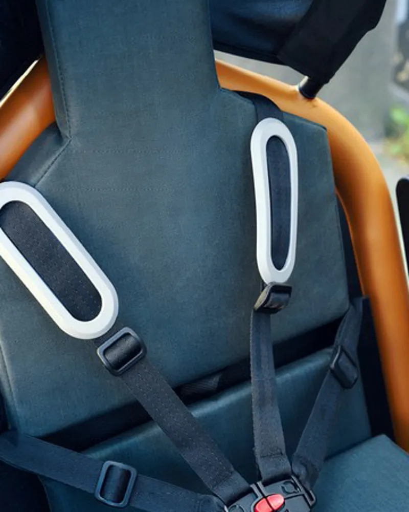 Riese and Muller Load4 75 Rohloff HS Peanut-4