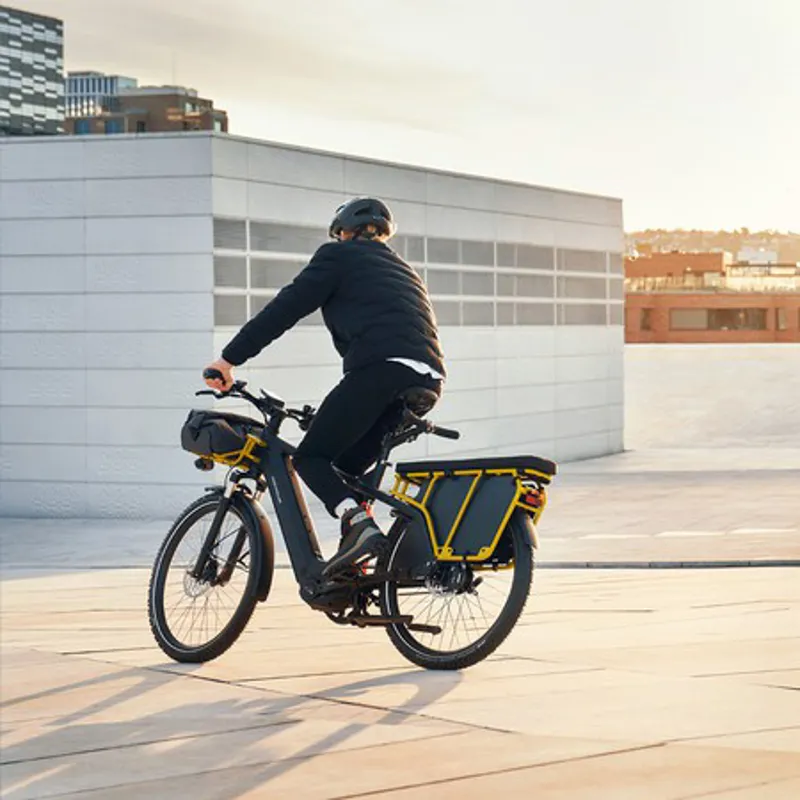 Riese and Müller Multicharger from:-6