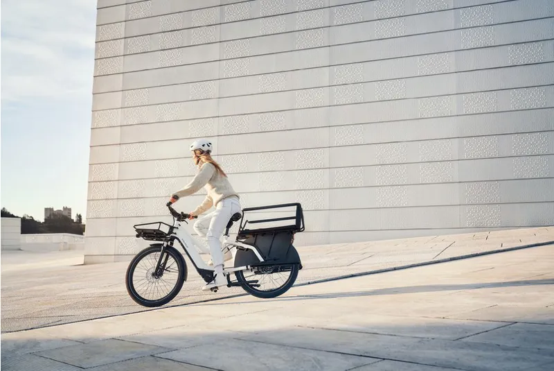 Riese and Müller Multicharger Mixte from:-8