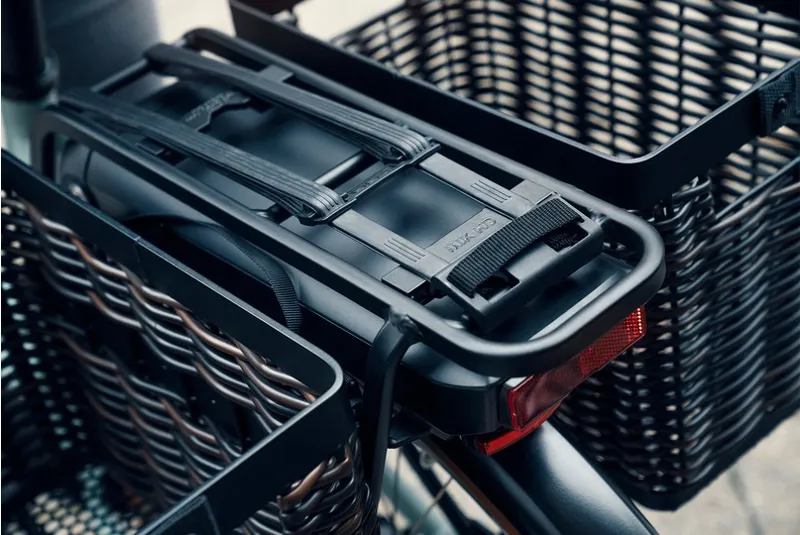 Riese and Müller Swing from:-8