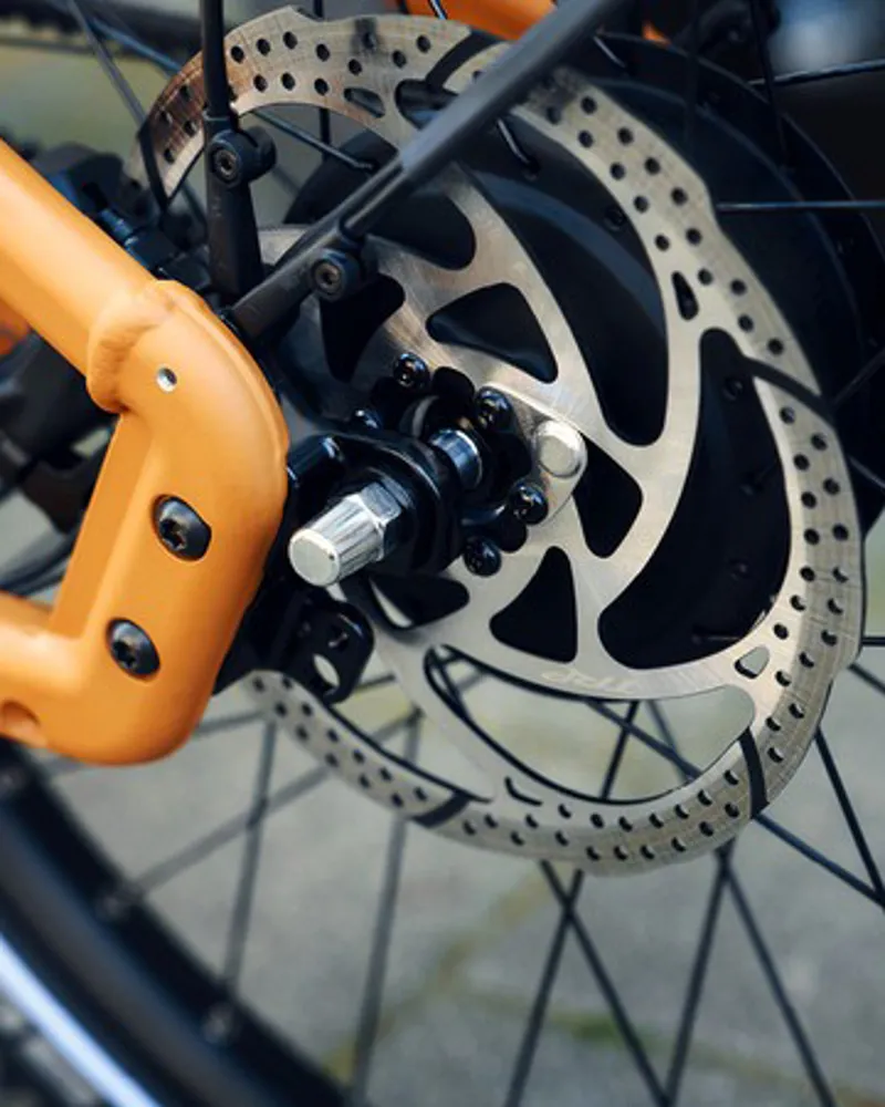 Riese and Muller Load4 75 Rohloff HS Peanut-6