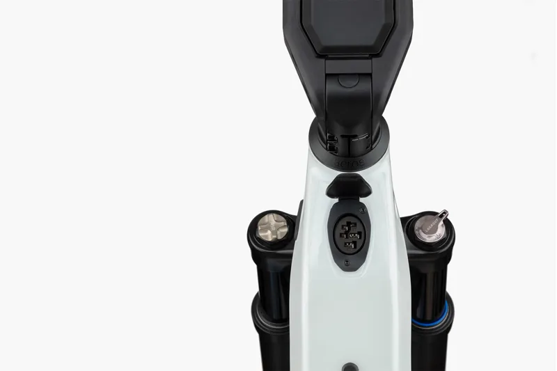 Riese and Müller Homage from:-11