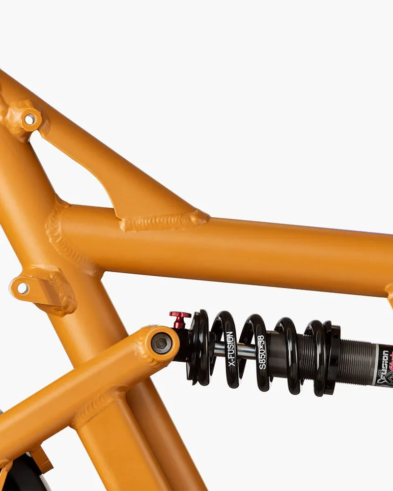 Riese and Muller Load4 75 Rohloff HS Peanut-7