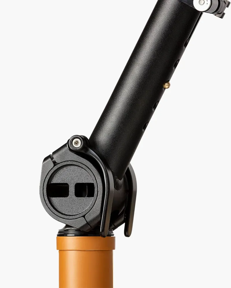 Riese and Muller Load4 75 Rohloff HS Peanut-8