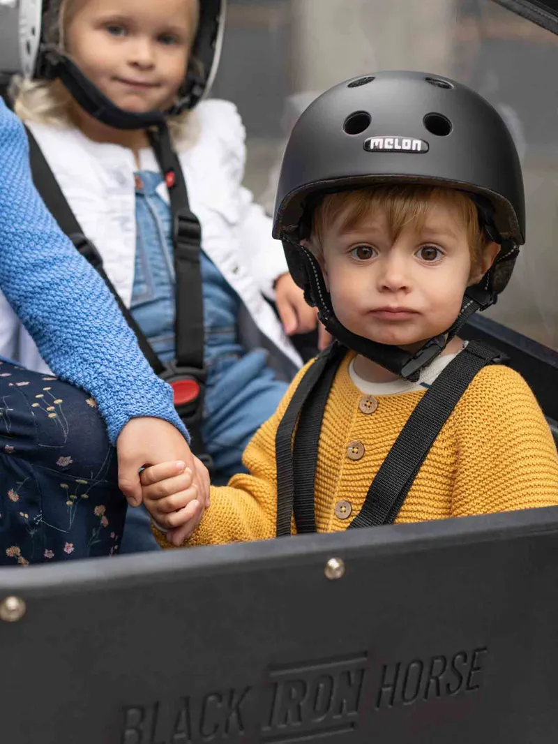 Black Iron Horse Pony from:-5