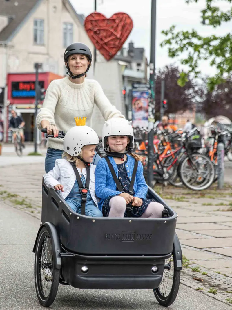 Black Iron Horse Polly from:-6