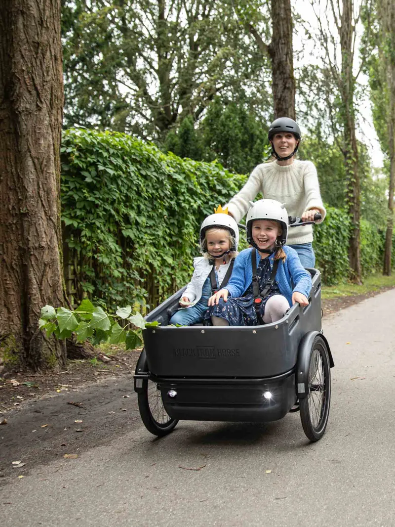 Black Iron Horse Polly from:-4