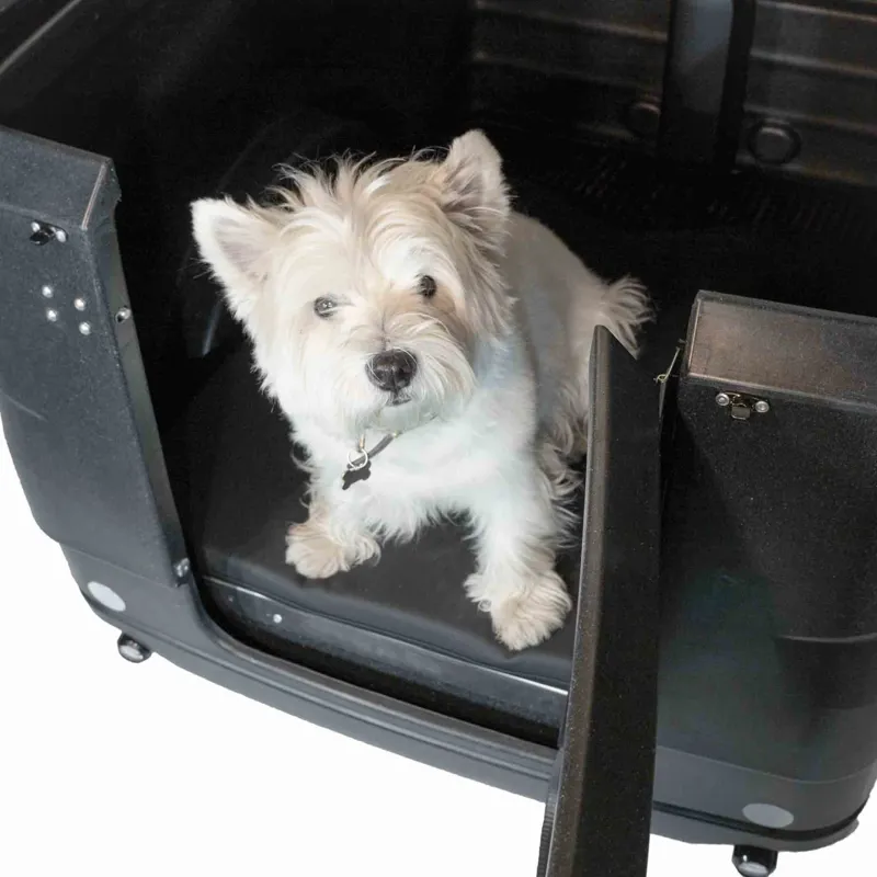 Black Iron Horse Polly from:-13