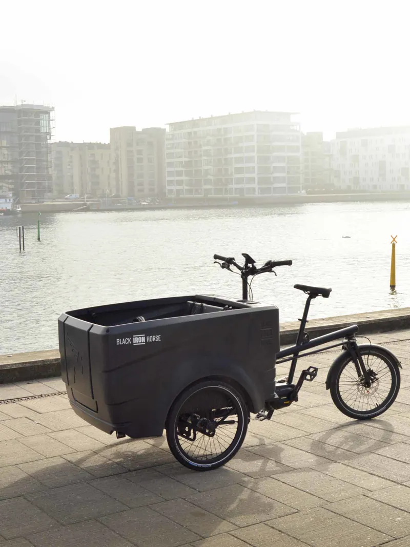 Black Iron Horse Polly from:-1