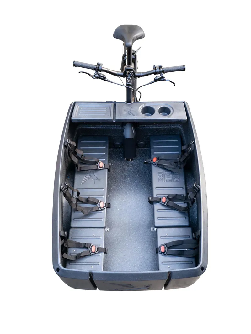 Black Iron Horse Polly from:-12