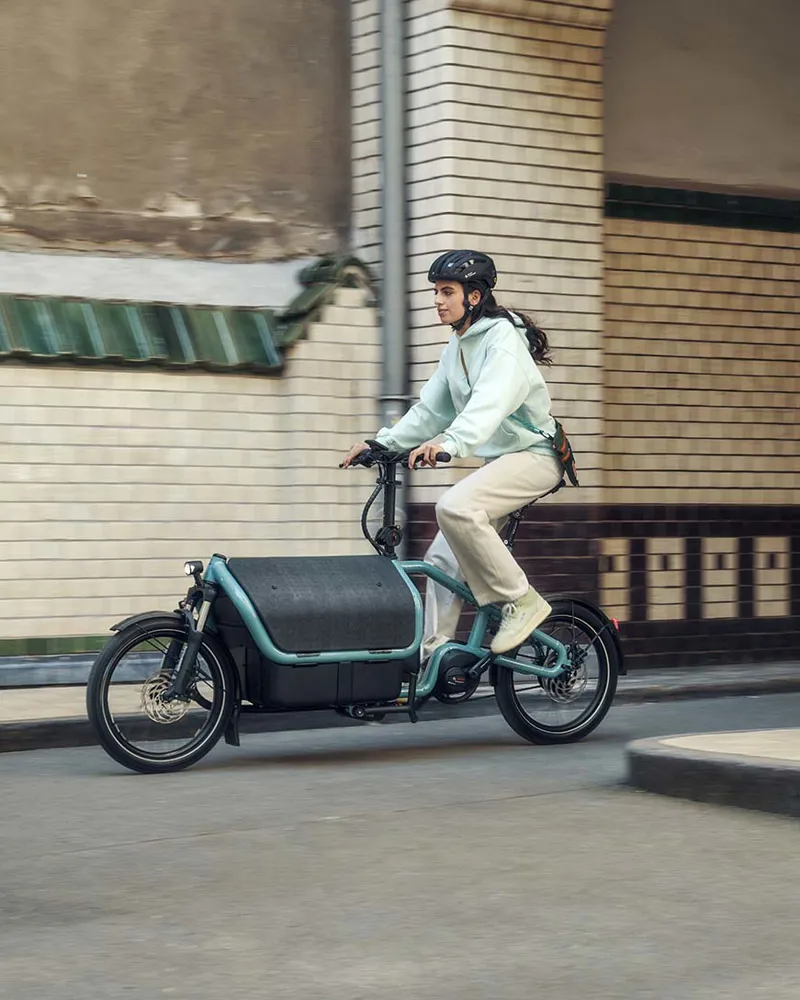 Riese and Muller Carrie Vario Aqua-4