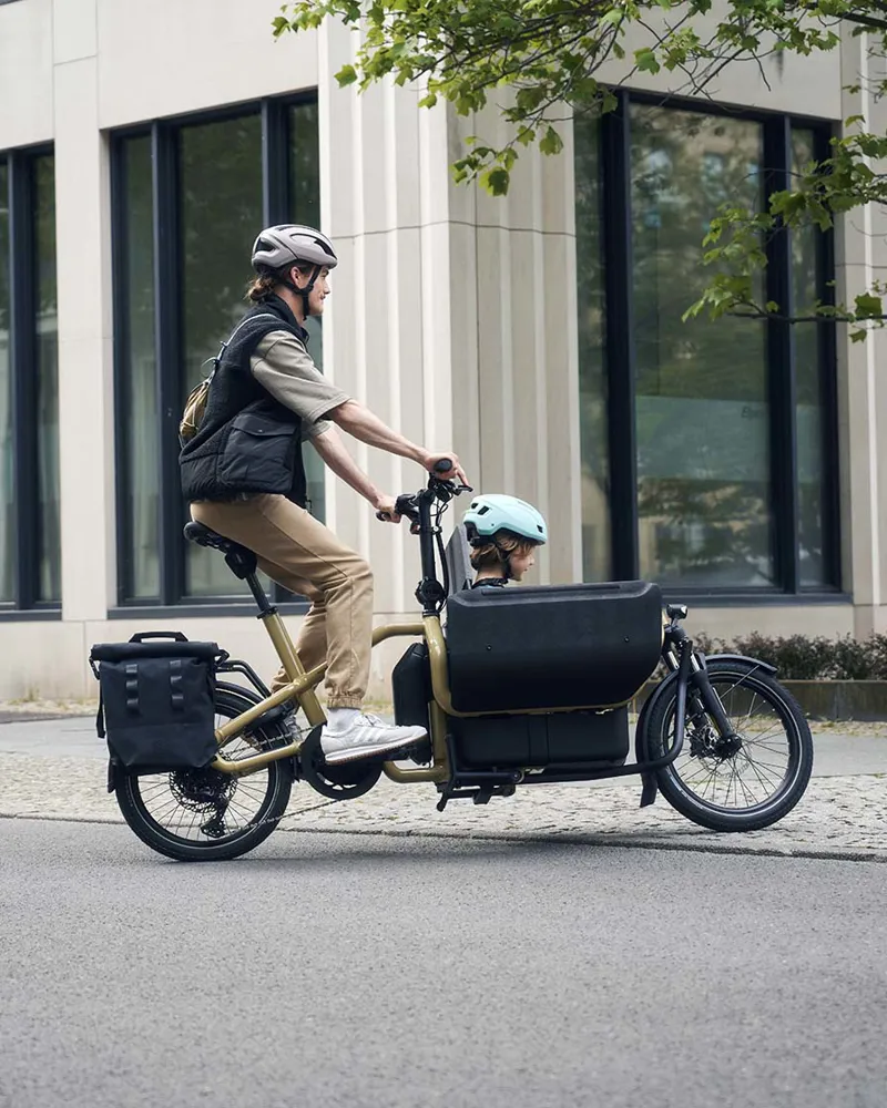 Riese and Muller Carrie Vario Aqua-1