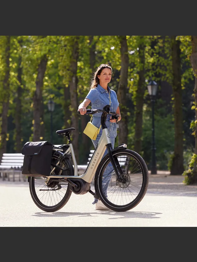 Gazelle Avignon C380 HMB L 28 SE Teal Grey-11