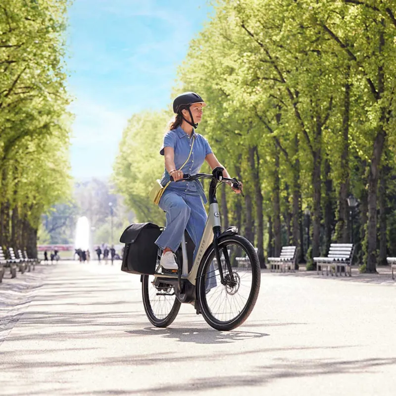 Gazelle Avignon C380 HMB LTD-4