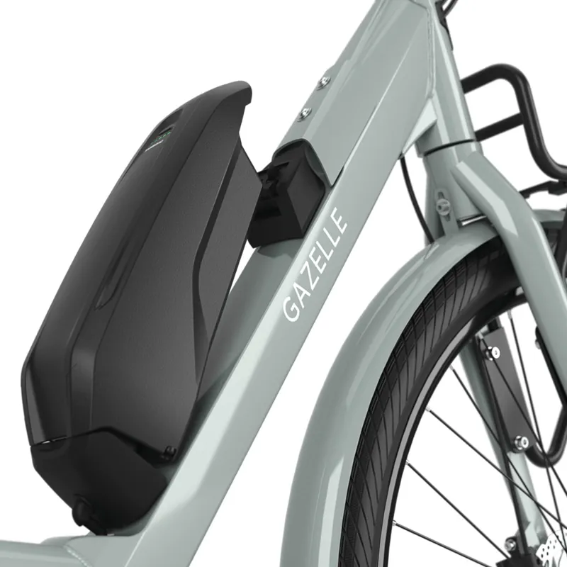 Gazelle Bloom C380 Hms In Light Olive-2