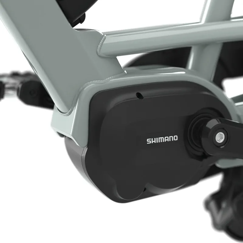 Gazelle Bloom C380 Hms In Light Olive-6