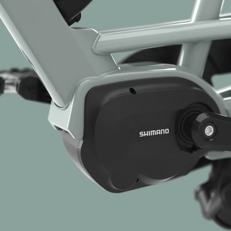 Gazelle Bloom C7 Hms In Light Olive-7