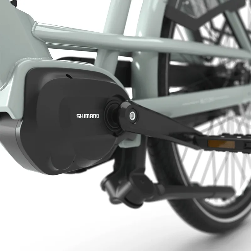 Gazelle Bloom C380 Hms In Light Olive-9