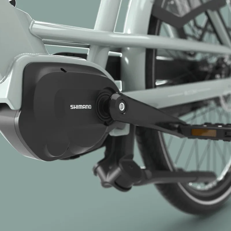 Gazelle Bloom C7 Hms In Light Olive-8