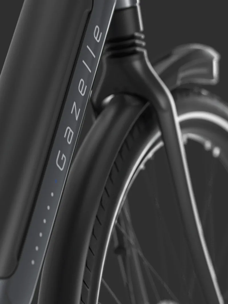 Gazelle Grenoble C8 Hmb In Black-9