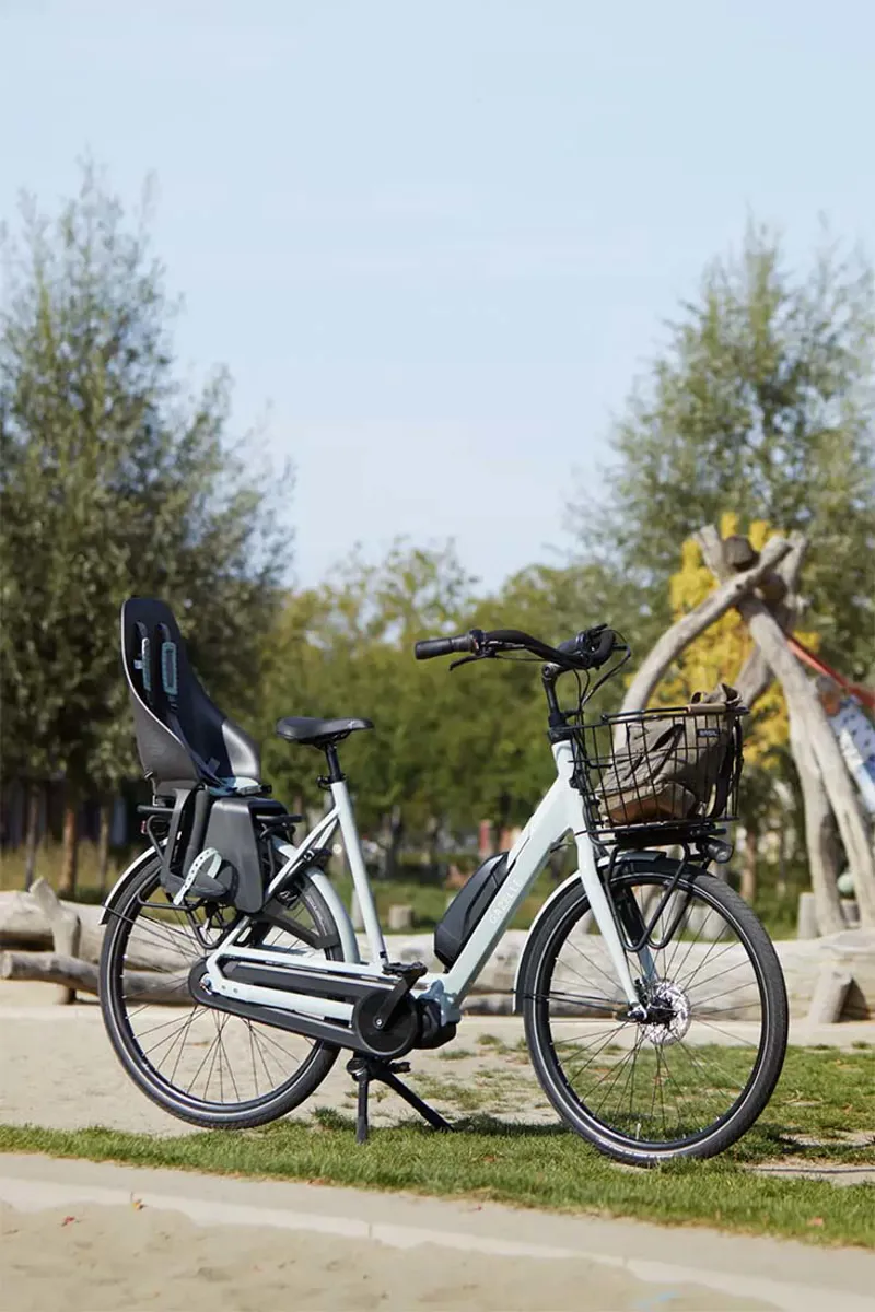 Gazelle Bloom C310-2