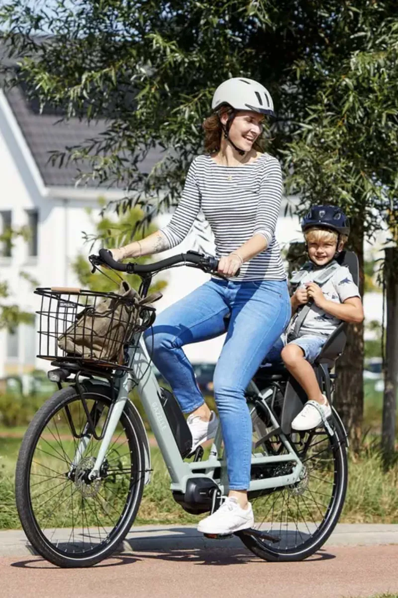 Gazelle Bloom C310-5