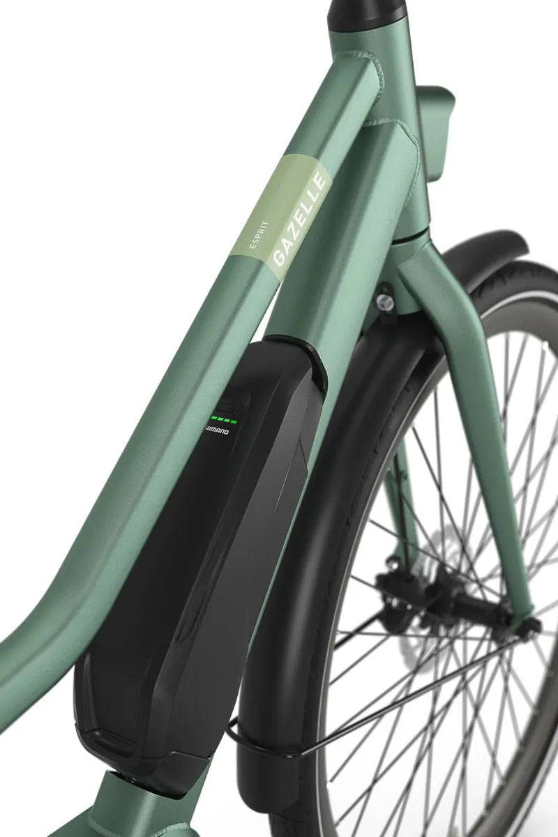 Gazelle Esprit C7-4