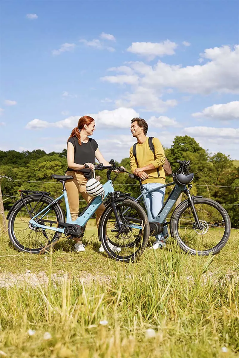 Gazelle Ultimate C380 Hmb-1