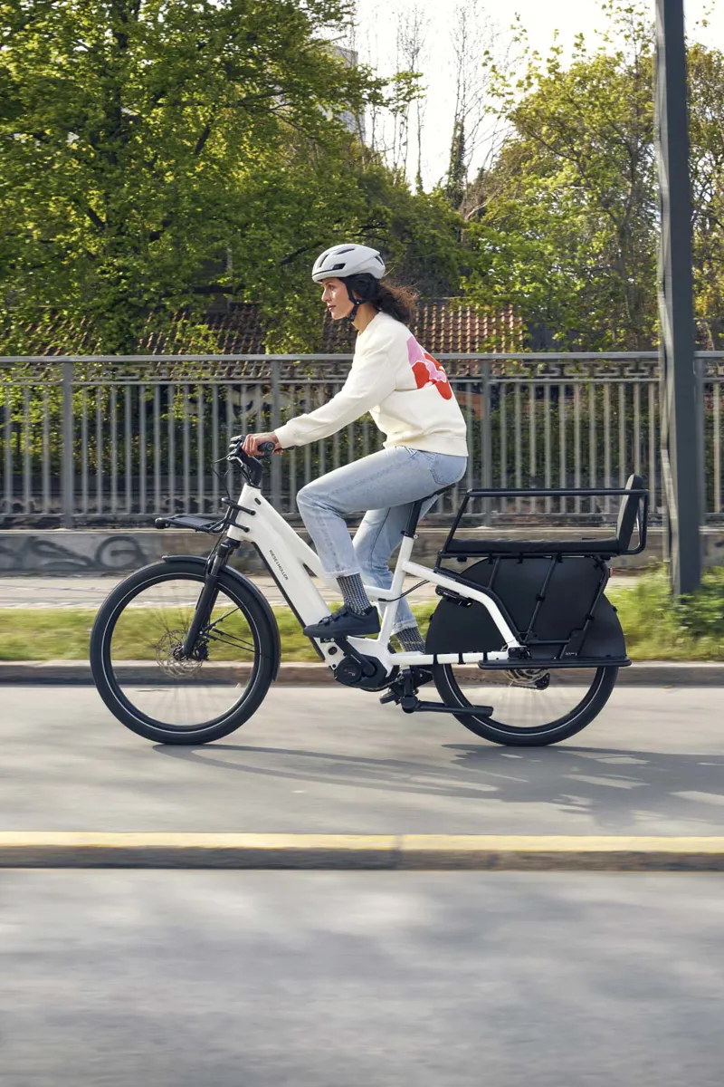 Riese and Muller Multicharger2 Mixte GT Vario Grey/Curry Matt 47cm-1