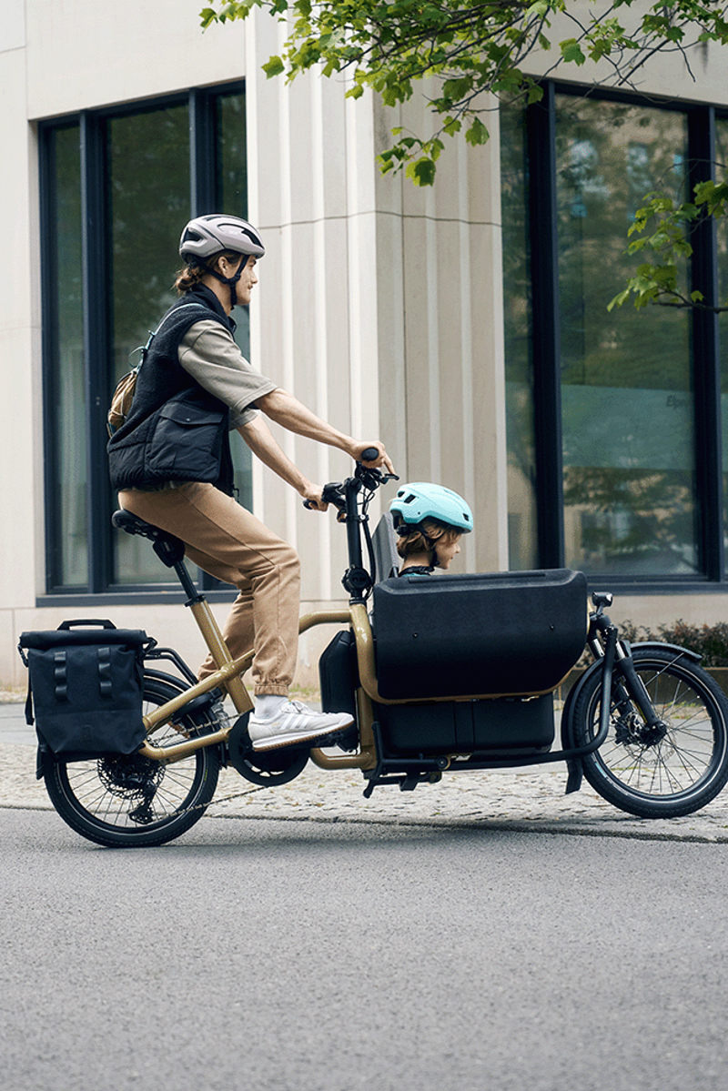 Riese and Muller Carrie from:-6