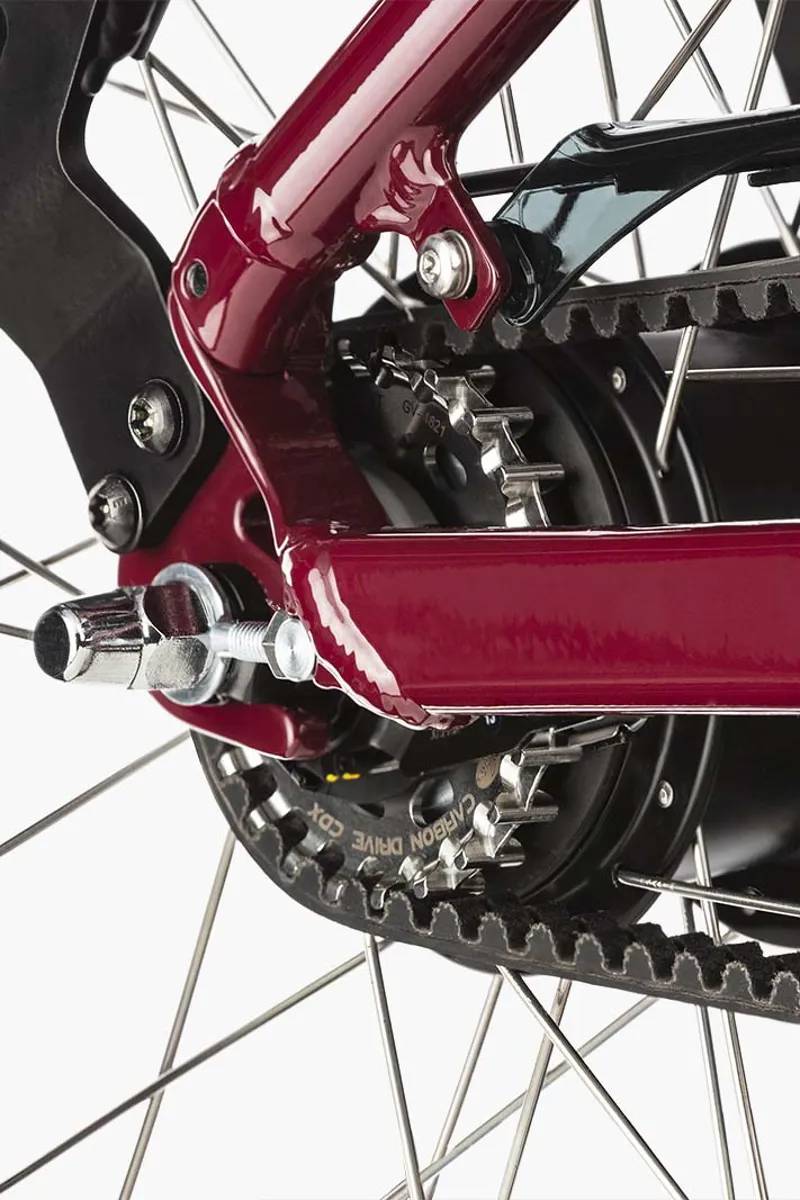 Riese and Muller Swing4 Silent in Bordeaux-4