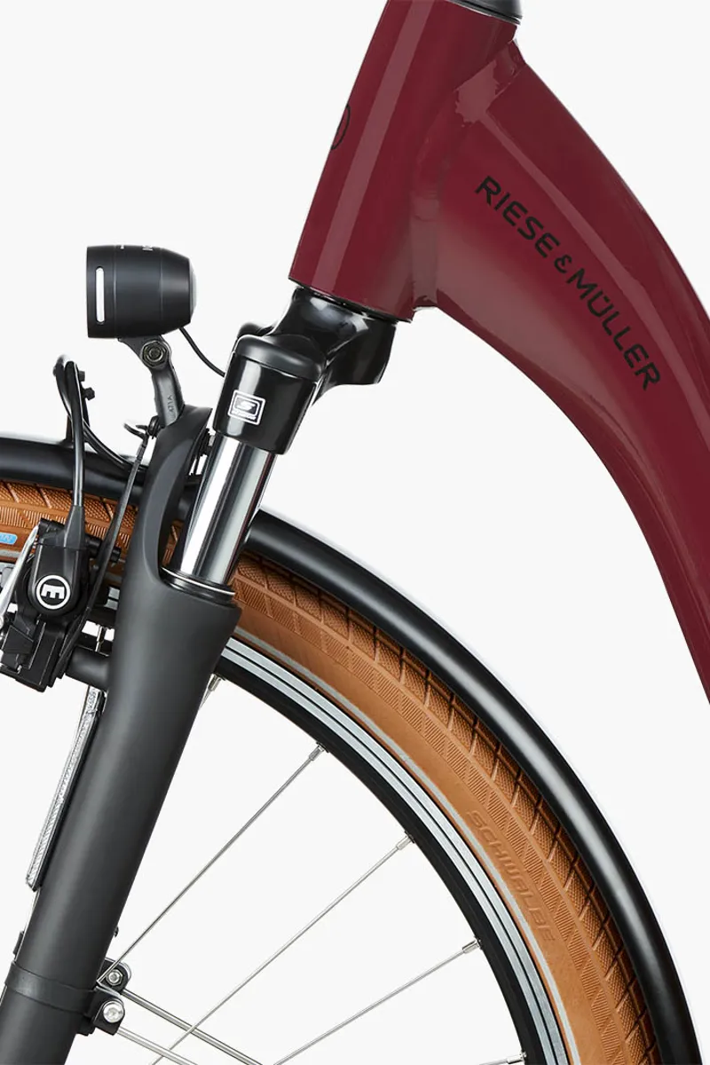 Riese and Muller Swing4 Silent in Bordeaux-5