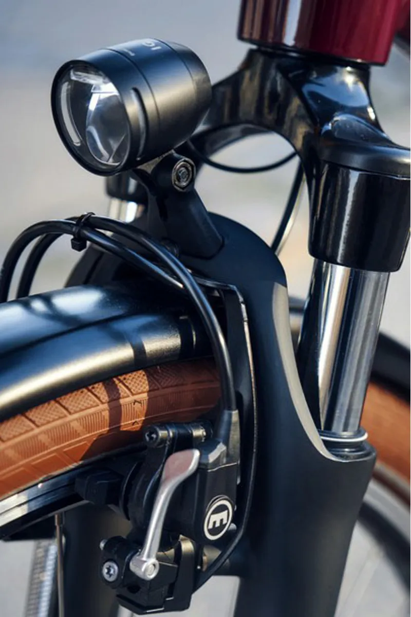 Riese and Muller Swing4 Silent in Bordeaux-3