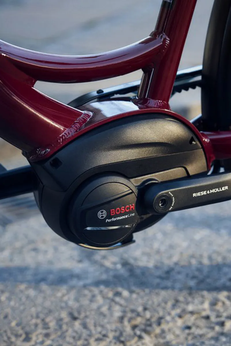 Riese and Muller Swing4 Silent in Bordeaux-2