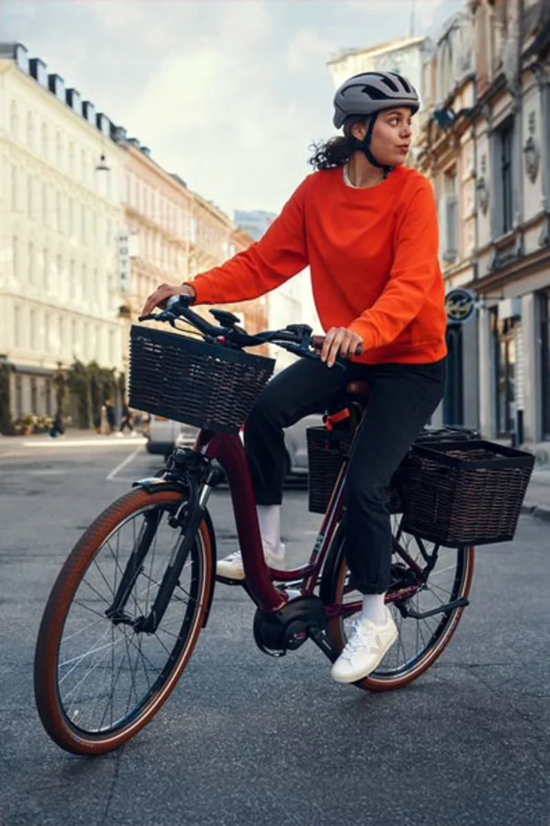 Riese and Muller Swing4 Silent in Bordeaux-1