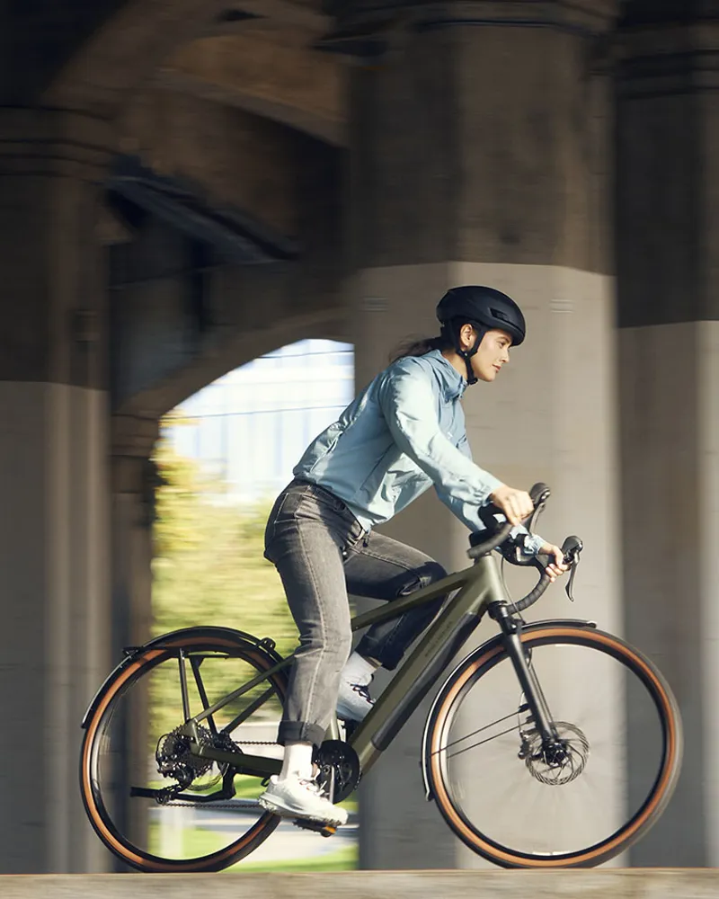 Riese and Muller UBN Five Silent 51cm Selva-1