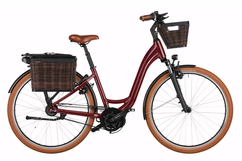 Riese and Muller Swing4 Silent in Bordeaux