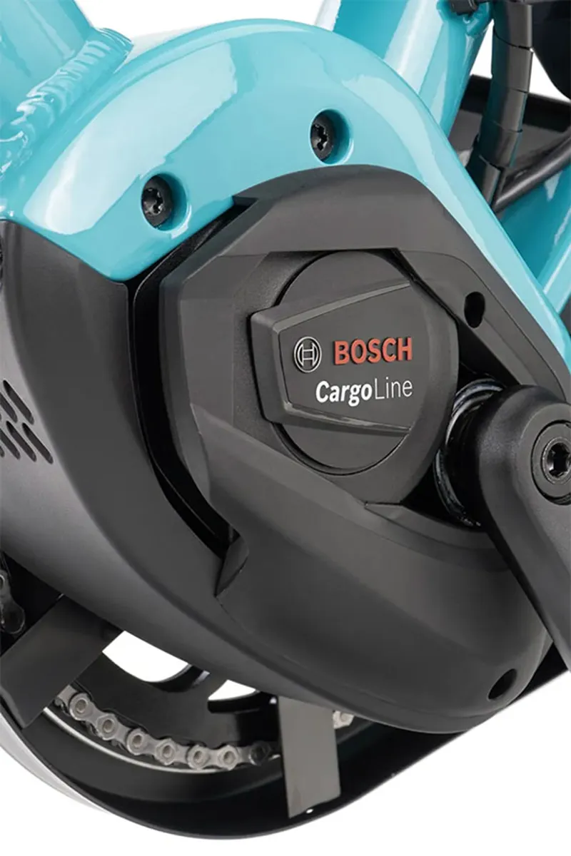 Tern GSD Gen3 P10 from:-12