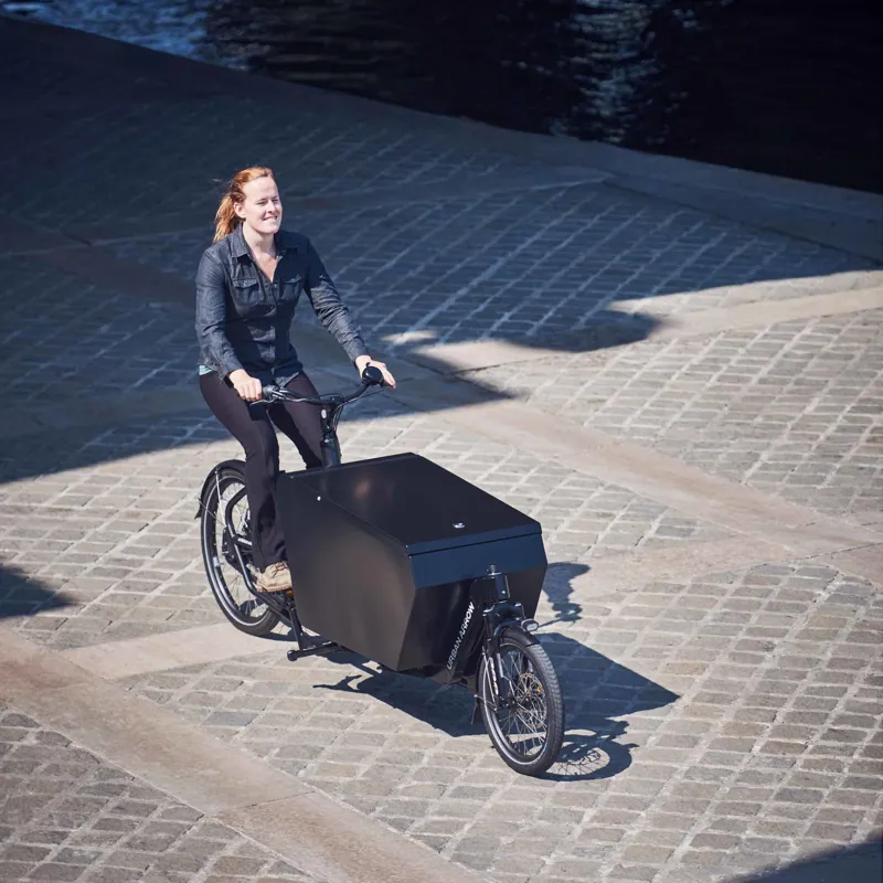 Urban Arrow Cargo L in Black-9