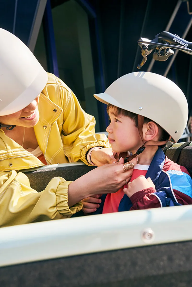 Urban Arrow Family Next Pro Green - 545Wh-6